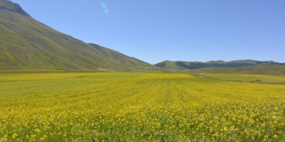 Castelluccio di Norcia, l’anima e il vento